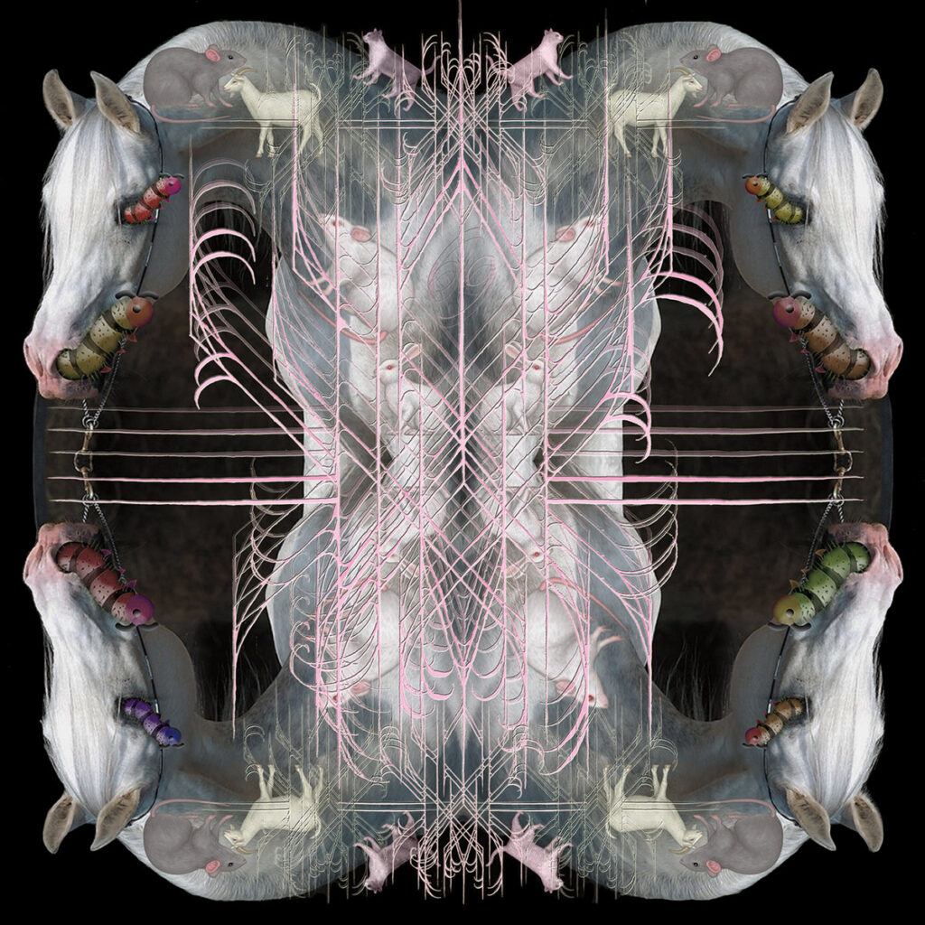 Okładka albumu muzycznego Eartheater pod tytułem „RIP Chrysalis”.