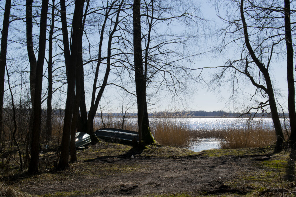 Widok na Jezioro Engure w kierunku wsi Engure