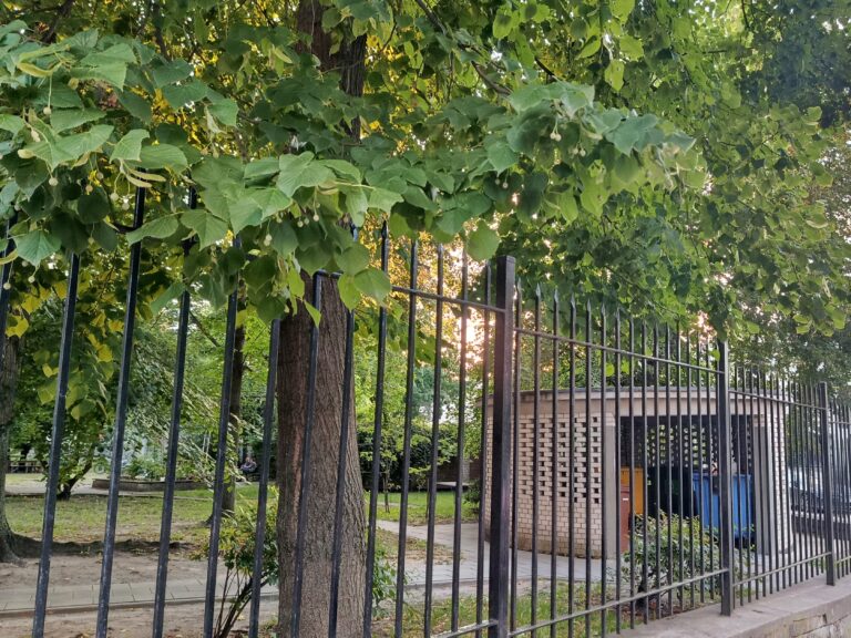 Śmietnik przy skrzyżowaniu ulic Tucholskiej i Dziennikarskiej na Żoliborzu w Warszawie. W jego miejscu do 1944 roku stał Domeczek, jeden z bohaterów „Ziela na kraterze” – była to willa Melchiora Wańkowicza, jego żony Zofii i córek – Krysi i Marty. Fot. Martyna Kloska.