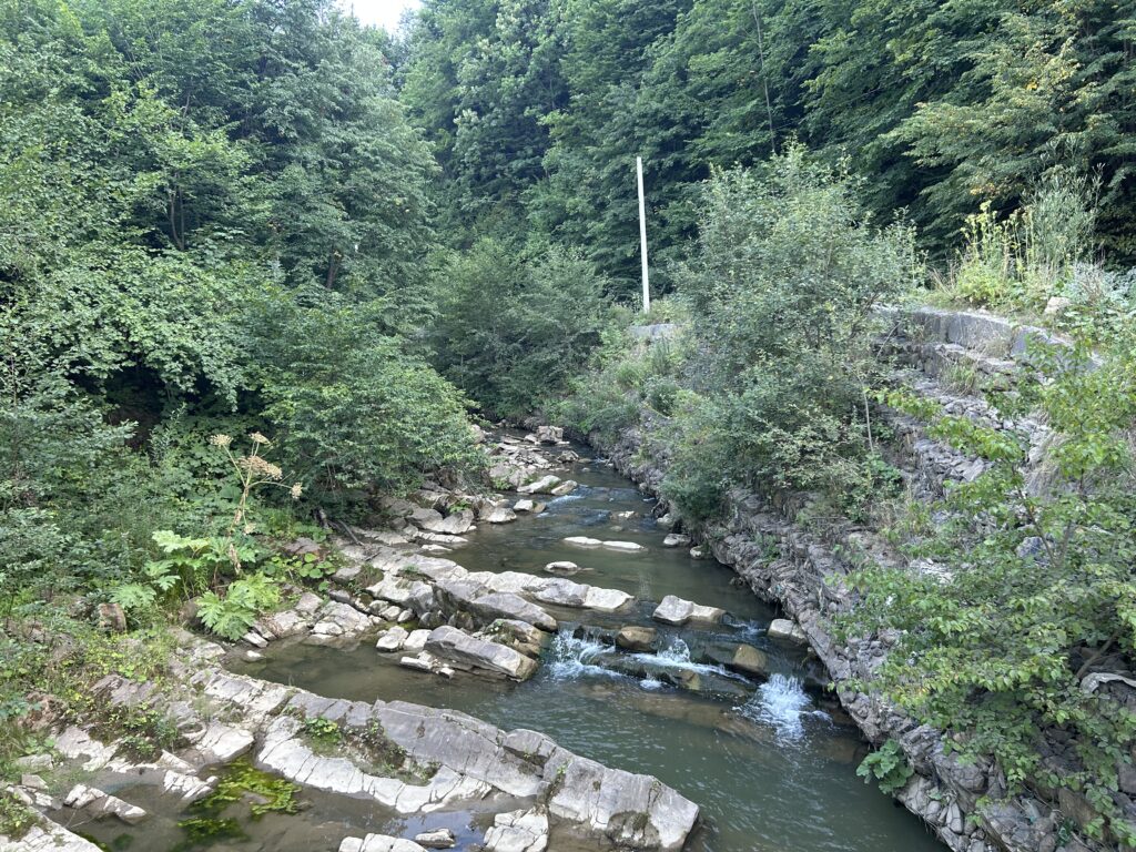 Dopływ rzeki Pistynki w Brusturach. Fot. W. Karpiuk.