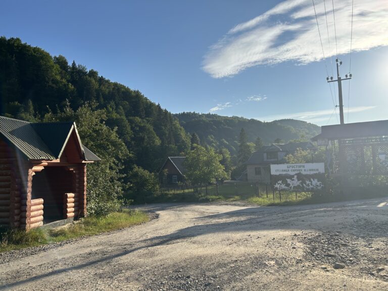 Droga z Prokurawy do Brustur. Fot. W. Karpiuk.