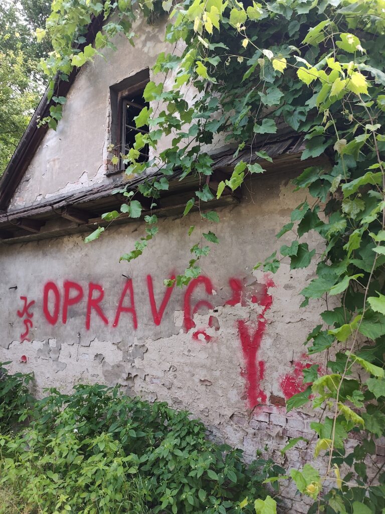 Sikornik, Biała Chata. Fot. Jakub Kornhauser.